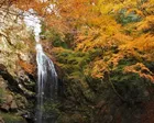 滝山渓谷紅葉まつり