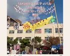 【11/14】SAKURA フェスティバル