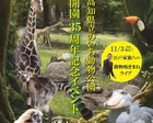 高知県立のいち動物公園　開園35周年記念イベント