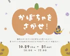 かぼちゃを探せ🎃