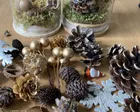 12/5限定 ZOOMOの松ぼっくりで素敵なクリスマスツリーを作ろう
