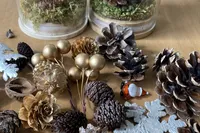 12/5限定 ZOOMOの松ぼっくりで素敵なクリスマスツリーを作ろう