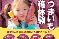 さつまいも収穫体験