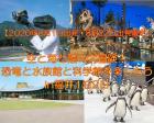 【20年8月宿泊】恐竜＆水族館＆科学館をひと夏で大冒険！（2日間）