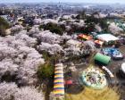 華蔵寺公園花まつり