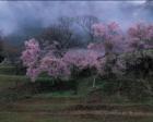 第16回美しい風景写真100人展「春・夏・日本の日の出部門」