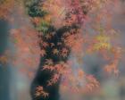 第7回　日本風景写真協会選抜展「四季のいろ」