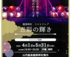 Yamashiro illumination 2021「五彩の輝き」