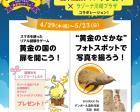 カワスイ川崎水族館「黄金さかな博」連動コラボイベント開催！！