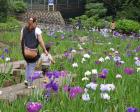 平川動物公園花しょうぶまつり