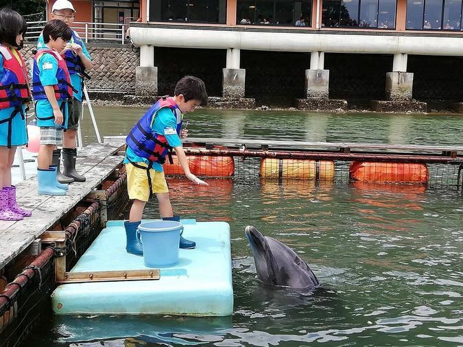 7月29日（土）イルカ飼育員のお仕事をしよう@静岡県写真
