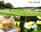 【全2回】ハチミツと野菜を一緒に育てる！養蜂家体験（横浜）