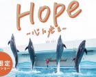 秋限定イルカショー「Hope～心に光を～」
