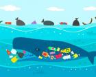 【国立、中野、板橋】海洋プラスチックをしらべよう！