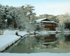松を寿く　徳川園のお正月