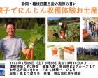 静岡・箱根西麓三島にんじんジュース３２万缶販売会社の畑で親子収穫体験