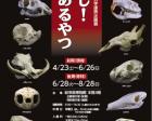 岐阜県博物館・岐阜大学連携企画展「蔵出し！骨のあるやつ」