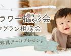【無料】プロが撮影！ドライフラワー撮影会🌸7/17（日）梅田