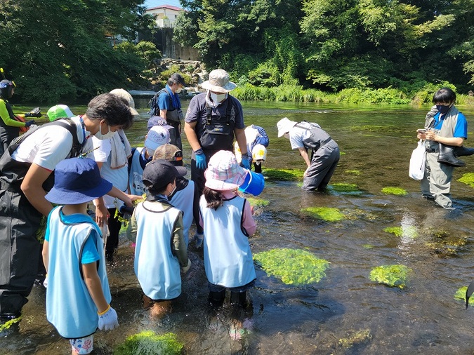 柿田川湧水の環境を守るお仕事をしよう！写真