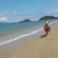 カナディアンキャンプ乗馬クラブ
