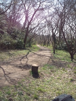 横浜自然観察の森