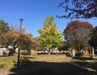 弘道中央公園