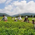 健康と癒しの里 大仁瑞泉郷