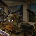 斜里町立知床博物館