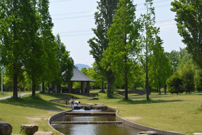 施設写真】 水遊びができる流れ』山田池公園の写真 | 子供とお出かけ情報「いこーよ」