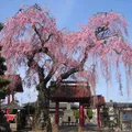 妙関寺