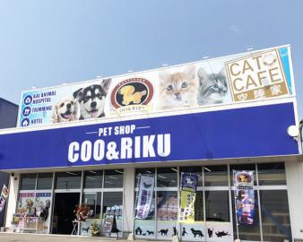 猫カフェ 猫喫茶 空陸家 帯広店