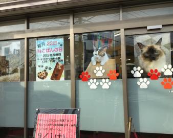 【休業中】猫カフェ　ねこぱんち