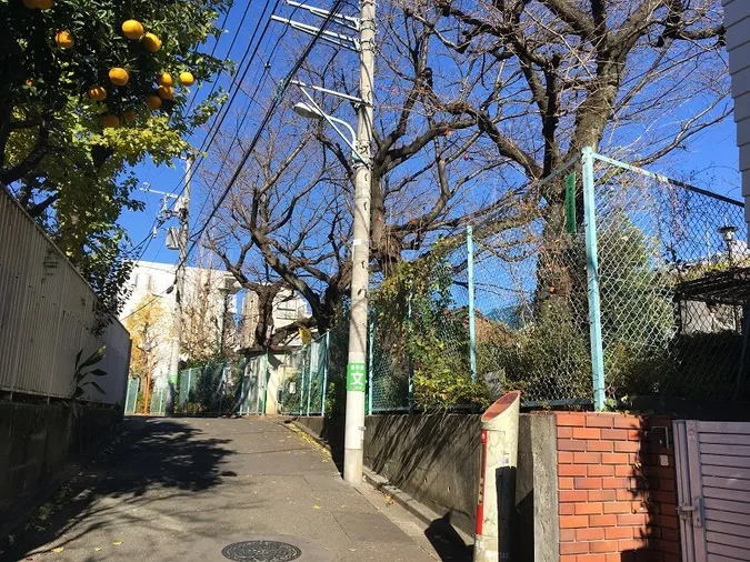 【施設写真】 提供：「恐るべき児童公園」（https://waradutoya.blog.so-net.ne.jp）