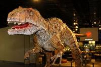 福井県立恐竜博物館（FPDM）