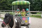 弥生いこいの広場
