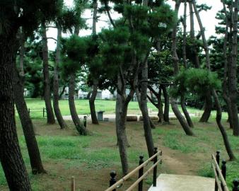 鵜の木松山公園