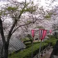 小浜町公園（とけん山公園）