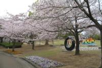 徳島県文化の森総合公園