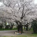 稲田公園