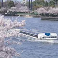 毛馬桜之宮公園