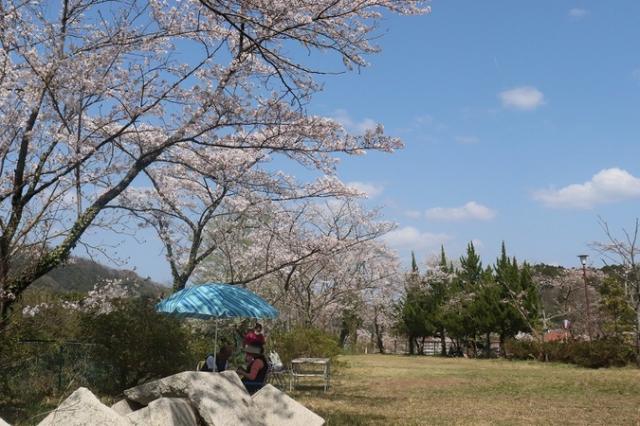 金毘羅山公園(川本町)