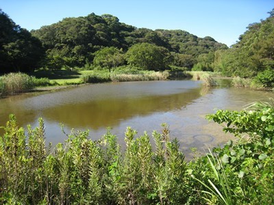 池子の森自然公園