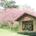 きみまち阪県立自然公園