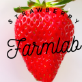 FARM LAB（ファームラボ）