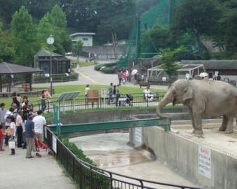 岡崎市東公園動物園