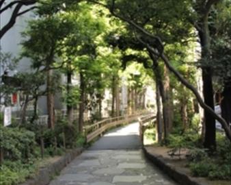 新宿遊歩道公園～四季の路～