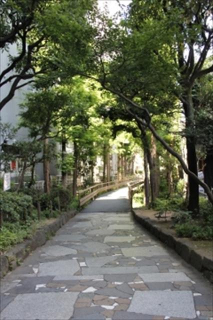 新宿遊歩道公園～四季の路～