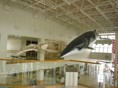 鯨賓館ミュージアム