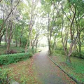 甫喜ヶ峰森林公園
