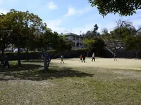 ひかりが丘ふれあい公園
